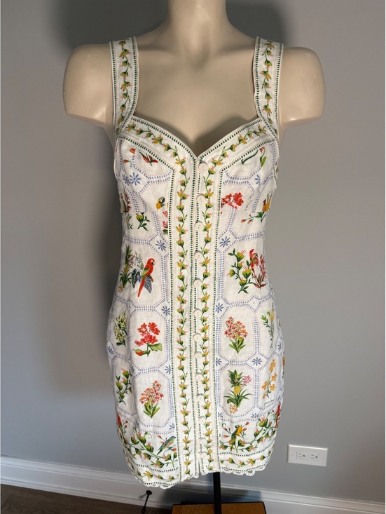 Farm Rio Dresses & Skirts - Farm Rio Embroidered Floral Mini Dress Size S